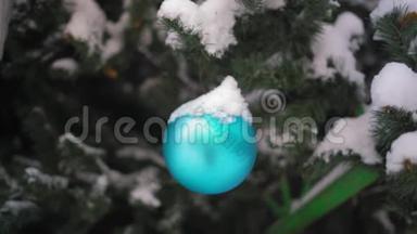 近景，白雪覆盖的<strong>蓝球</strong>装饰了公园里的圣诞树